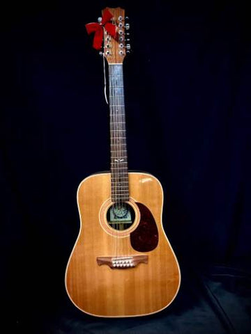 Alvarez 5054 MODEL E 12 String Acoustic Guitar - Jim's Super Pawn